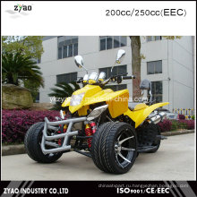 200cc EEC Racing ATV Quad Trike